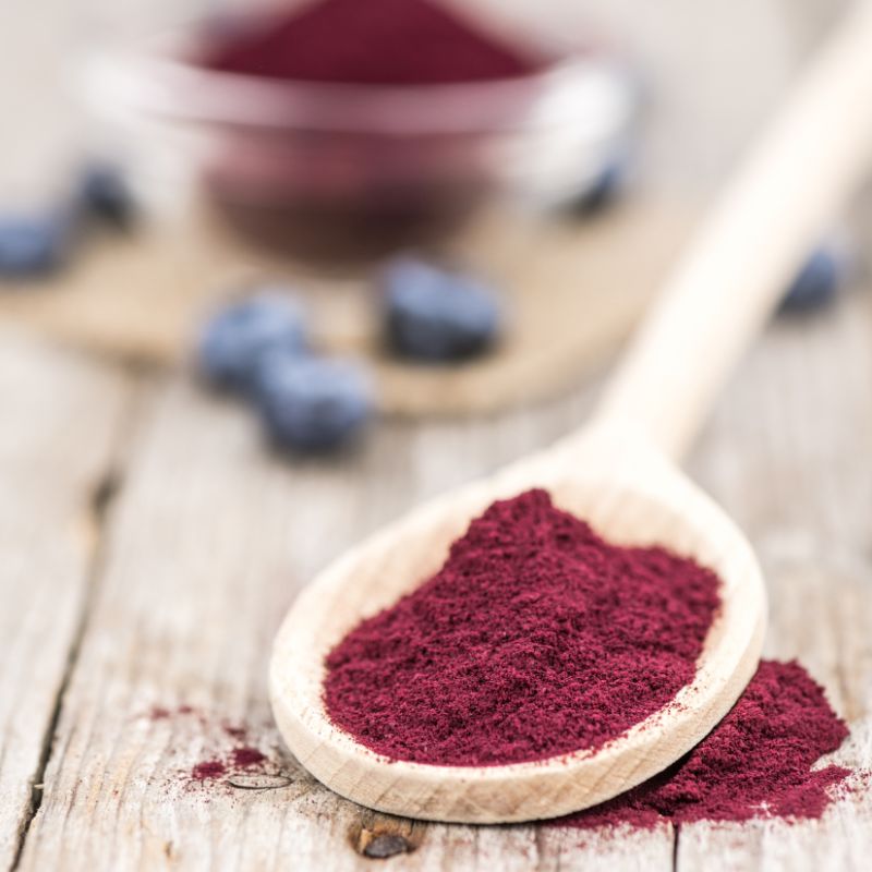 Bio blueberry fruit powder - 100g