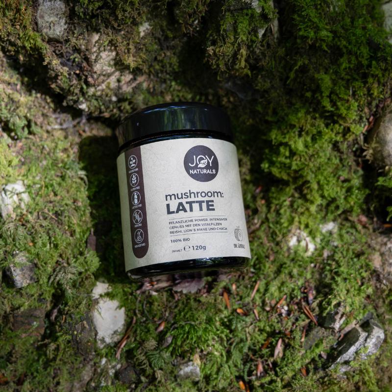 Mit Reishi, Lion’s Mane & Chaga – Vitalpilze für Balance, mentale Klarheit & Wohlbefinden